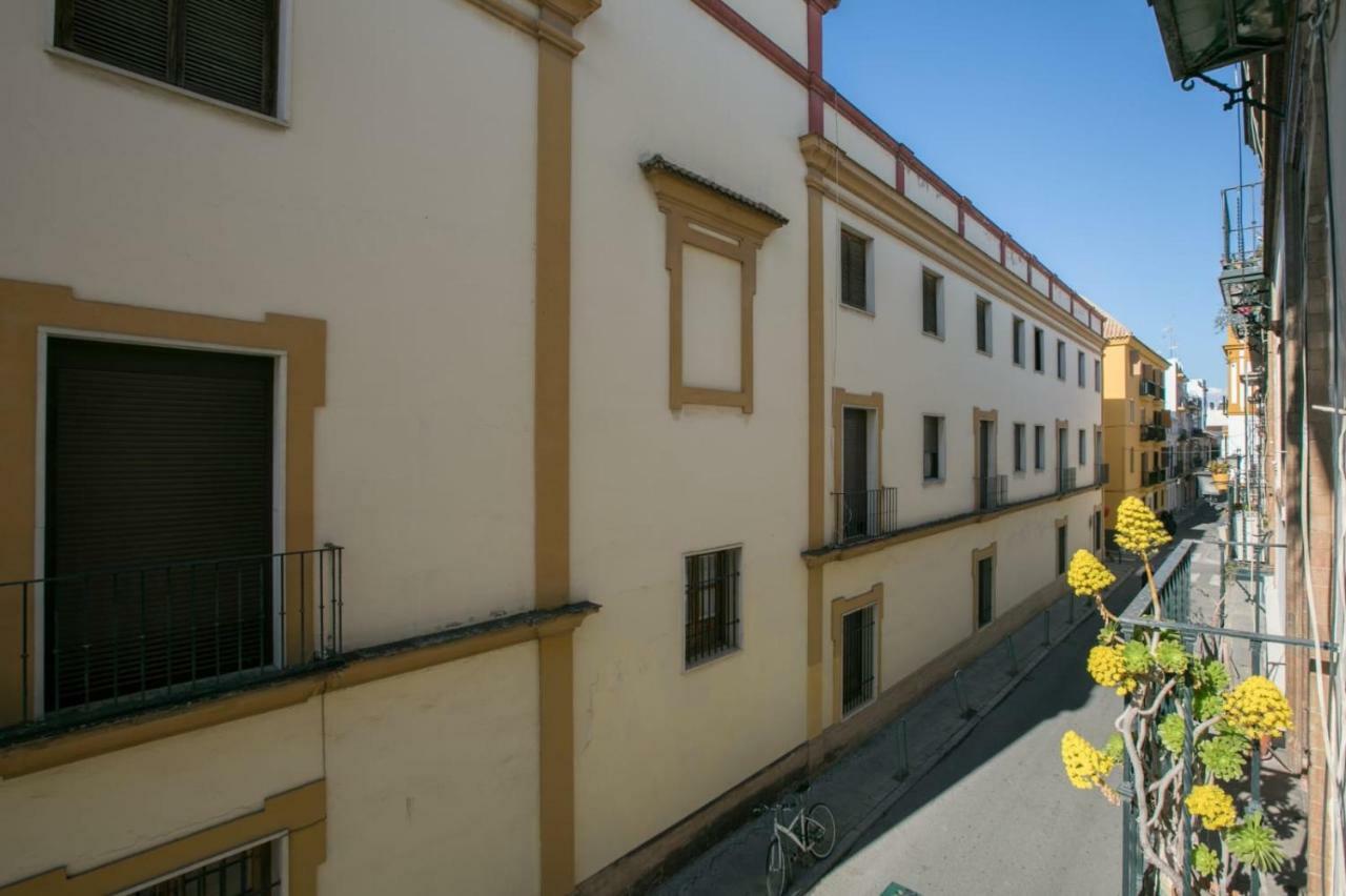 Feel The City - Old Town セビリア エクステリア 写真